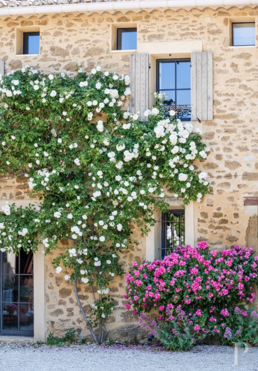 Dans le Vaucluse, aux environs de Beaumes-de-Venise,  une ancienne ferme du 18e siècle bordée de vignes - photo  n°19